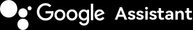 Google Assistant